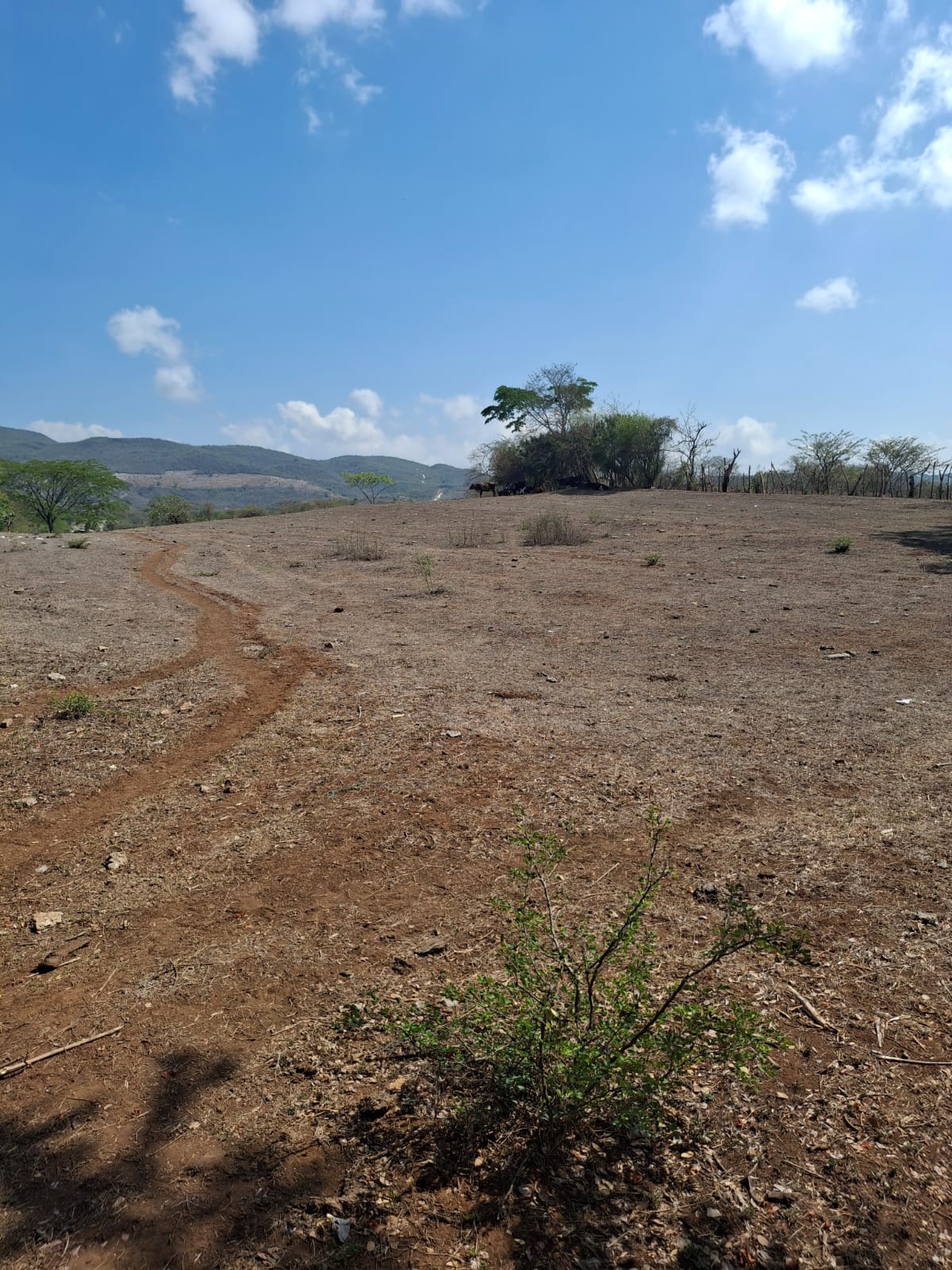 DEVELOPMENT OPPORTUNITY IN SANARATE, EL PROGRESO